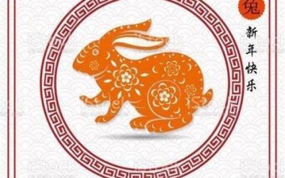 oranger-Hase-2023-istock-1449035168